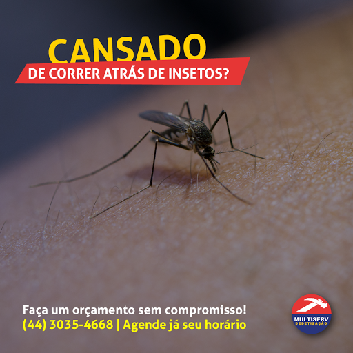 Multiserv Dedetizadora