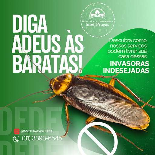Dedetizadora e Desentupidora Inset Pragas