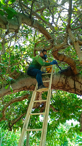 Eco Clean Saúde Ambiental