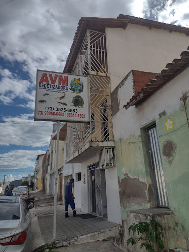 AVM Dedetizacao e Desratizacao