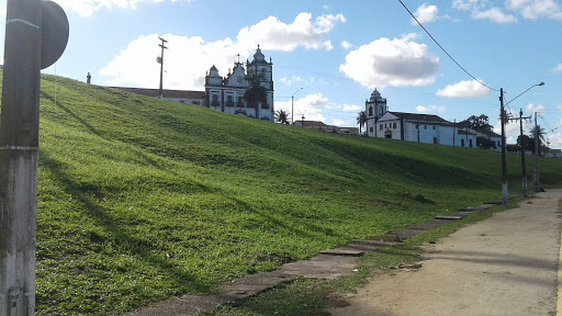Alvo Dedetização