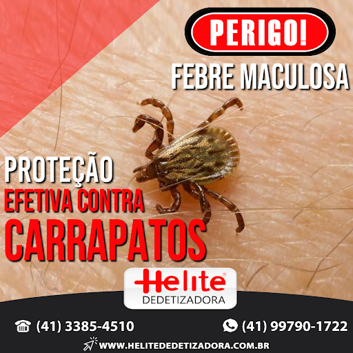 Helite Dedetizadora - Dedetização - Curitiba - São José dos Pinhais