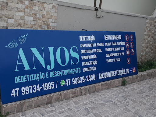 Anjos Dedetização e Desentupimento