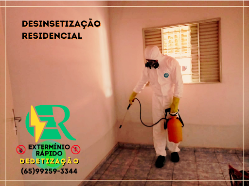 Dedetizadora Extermínio Rápido
