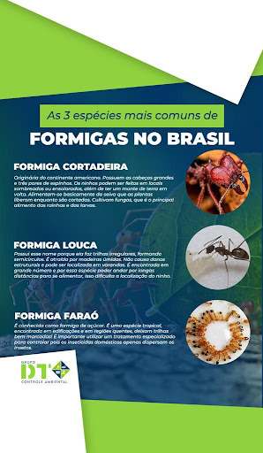 DT Controle Ambiental Dedetização