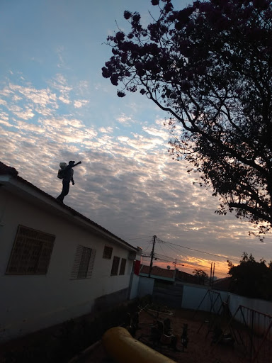 Soluinsect Dedetização