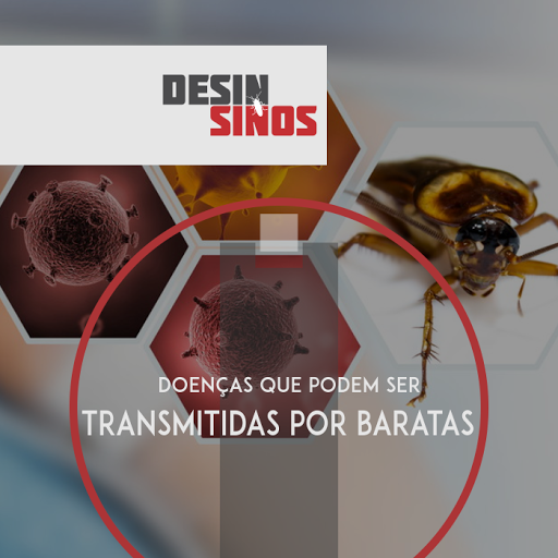 Desin Sinos Desinsetizadora