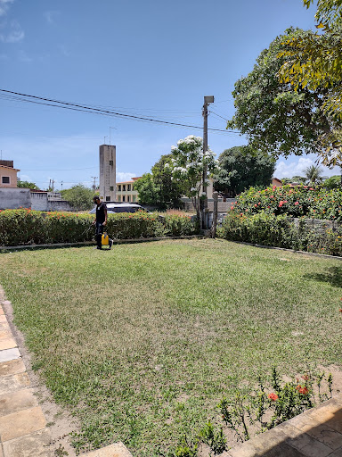 Elity Dedetização Saúde Ambiental