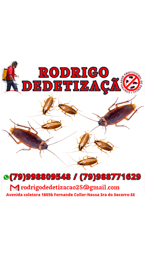Rodrigo Dedetização