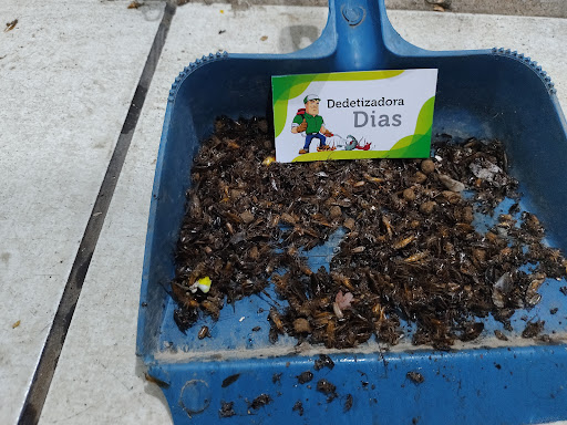 Dedetizadora Dias