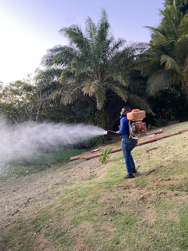 Queiroz Saúde Ambiental
