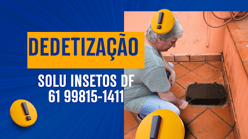 Solu Insetos
