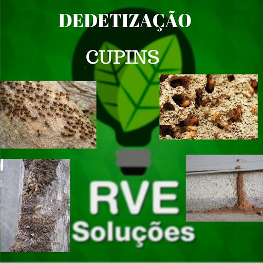 RVE Soluções