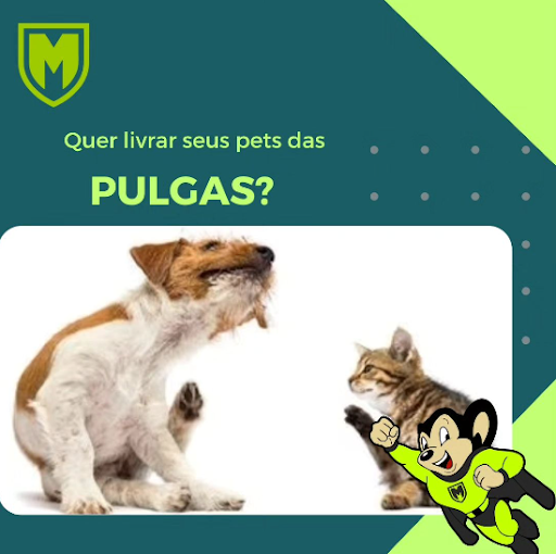 Dedetizadora em Muriaé - Mr. Mouse Brasil
