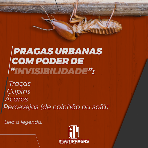 Insetipragas Dedetizadora Ltda