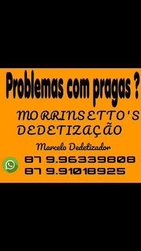 Dedetização Morrinsetto's