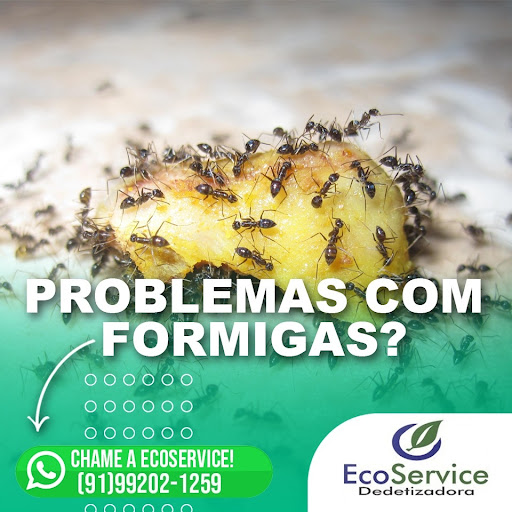Ecoservice Dedetização
