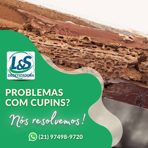 L&S DEDETIZADORA