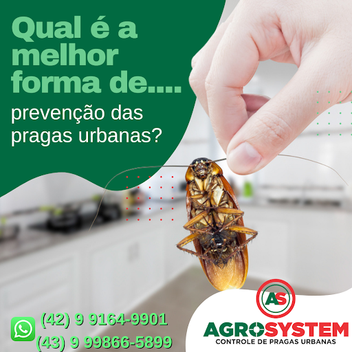 Dedetizadora Agrosystem