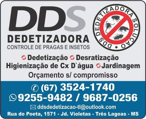 DDS Dedetizadora Solução