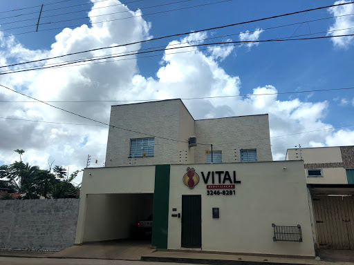 Vital Dedetização